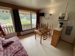 Studio 4 pers avec balcon, animaux admis et WiFi - FR-1-787-72